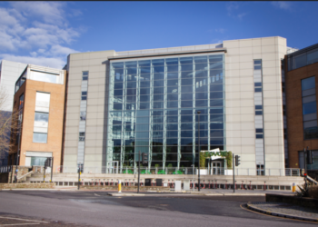 Ovo offers employees bank holiday flex