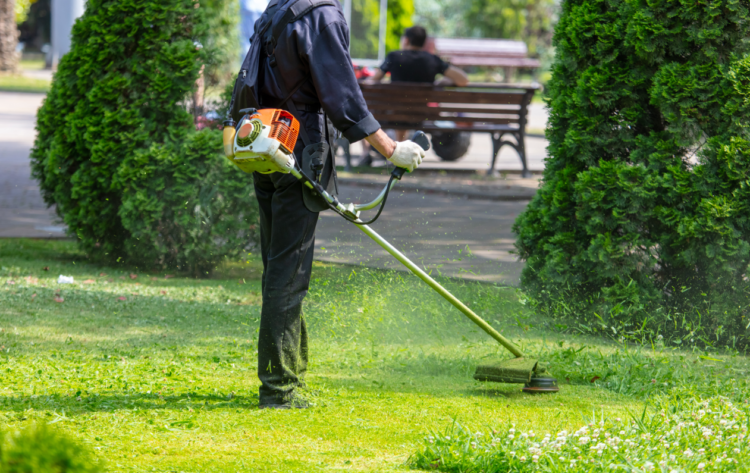 Local authority employee, council