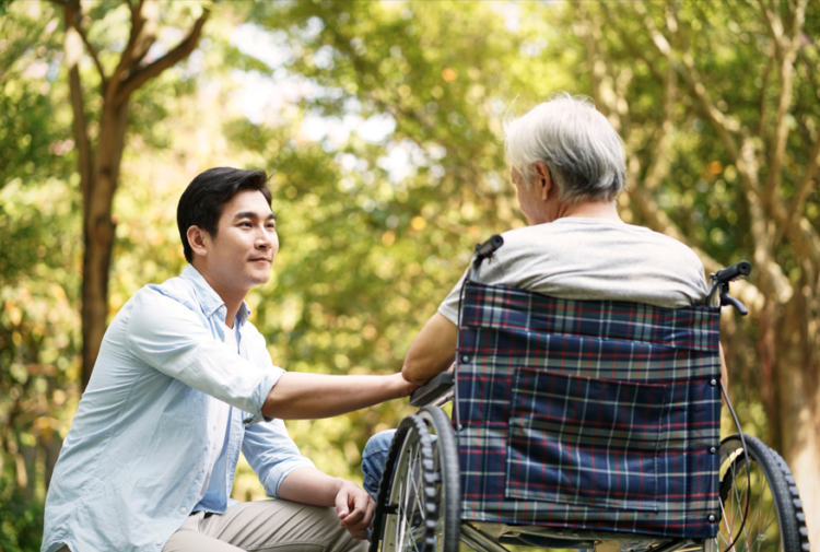 unpaid carer, vulnerable older person