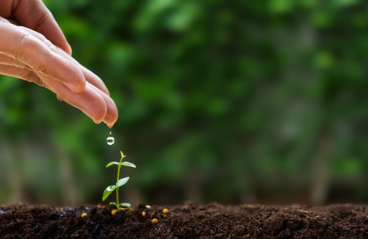 Saving for the future, pensions, undersaving, workplace, employees, retirement