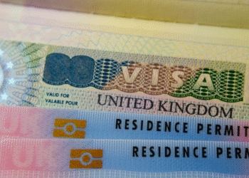 Immigration, overseas, abroad, visa, skills, shortage, points system, employer, training, UK, Britain, Home Office